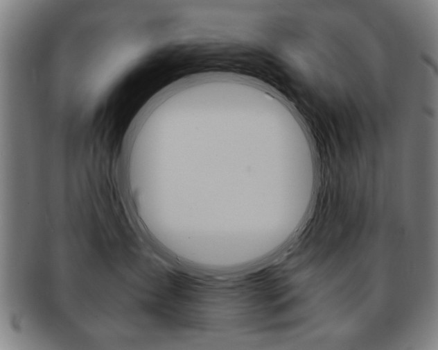 X0000091650431200708231014