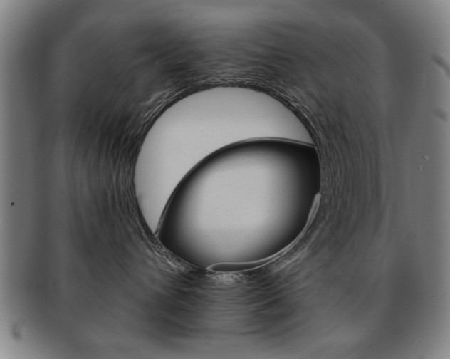 X0000091650432200708231014