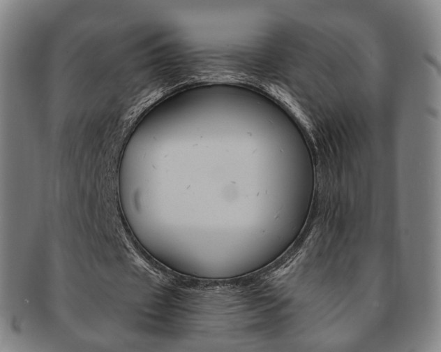 X0000091650433200708231013