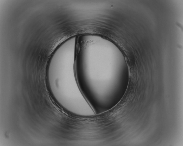 X0000091650434200708231013