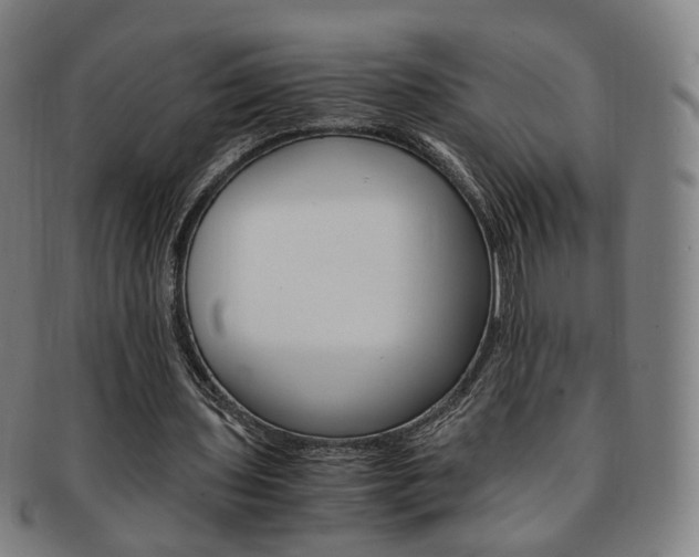 X0000091650435200708231013