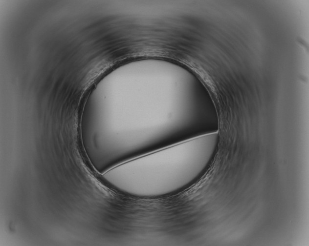 X0000091650437200708231013