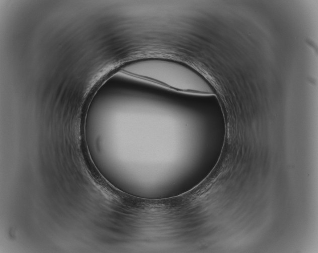 X0000091650438200708231013