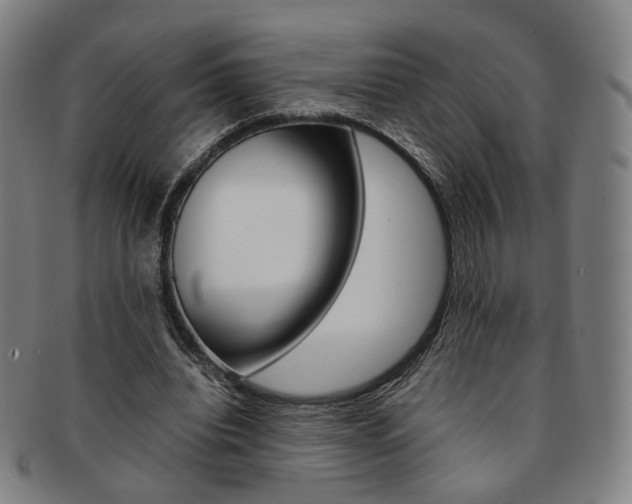 X0000091650440200708231013