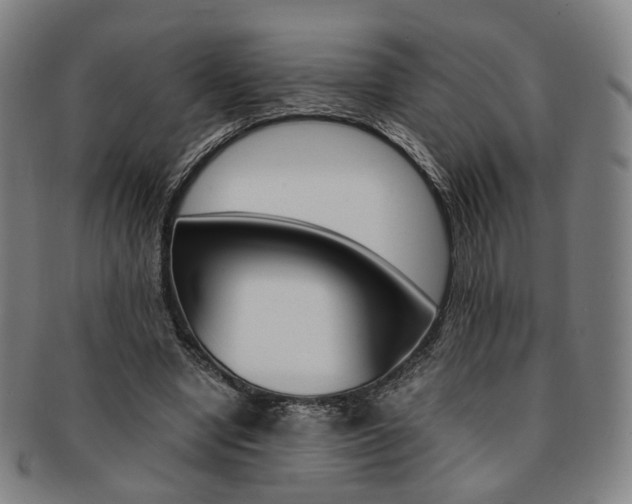X0000091650442200708231013