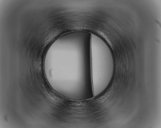 X0000091650443200708231013