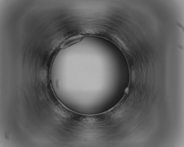 X0000091650444200708231013