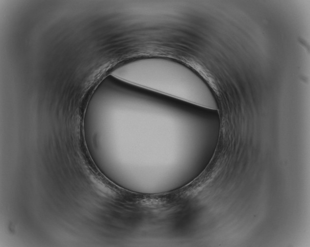 X0000091650445200708231013