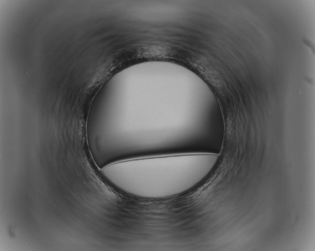 X0000091650449200708231013