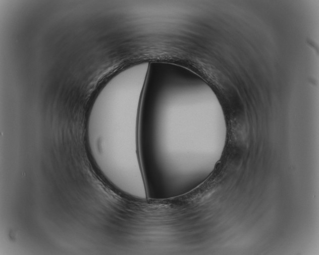 X0000091650450200708231013