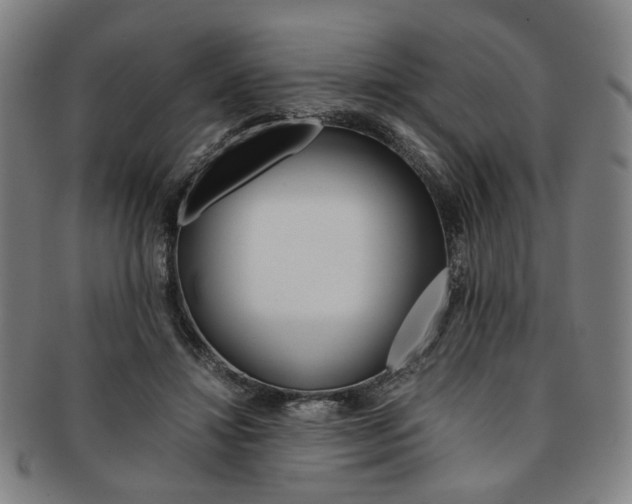 X0000091650452200708231013