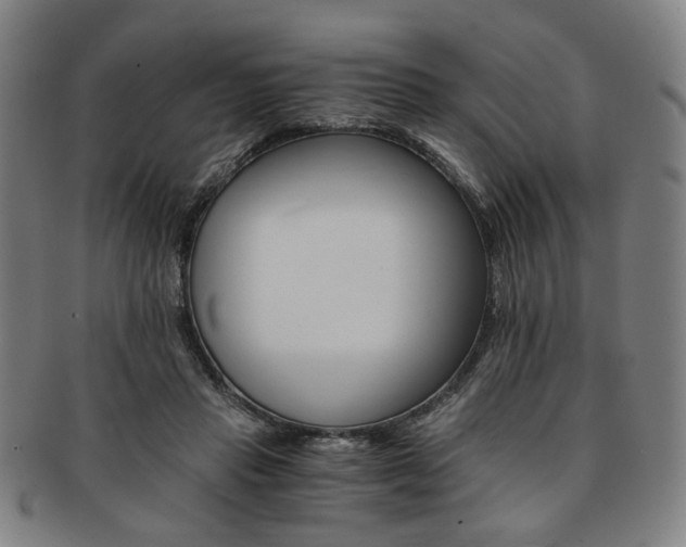 X0000091650453200708231014