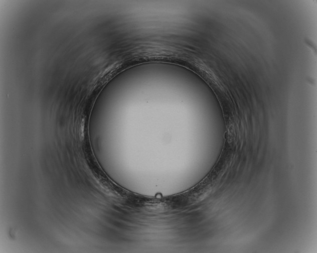 X0000091650454200708231014