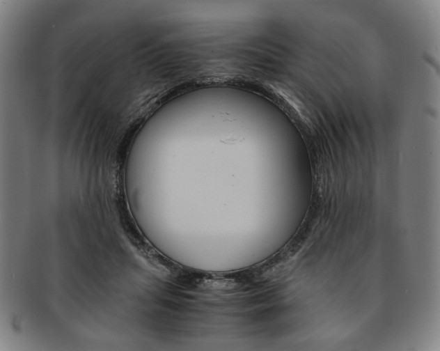 X0000091650455200708231014