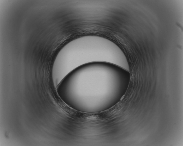 X0000091650456200708231014