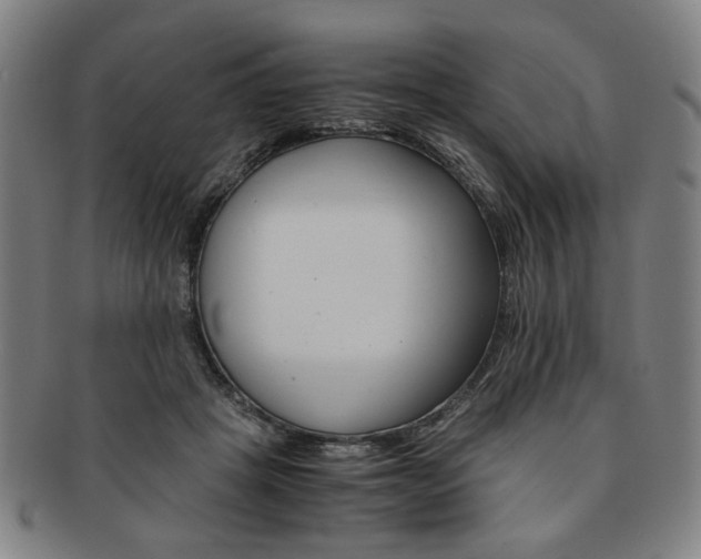 X0000091650457200708231014