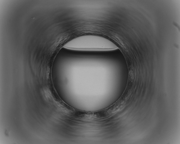 X0000091650458200708231014