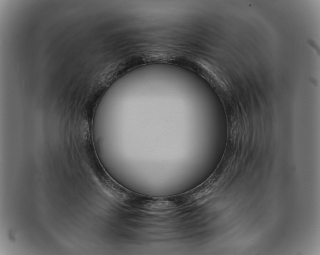 X0000091650459200708231014