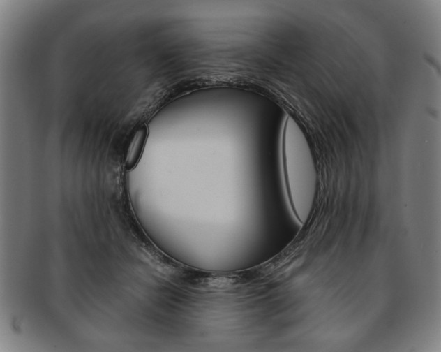 X0000091650462200708231014