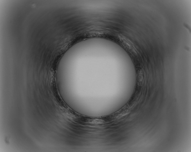 X0000091650463200708231014