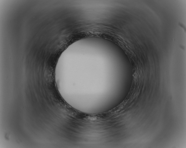 X0000091650464200708231014