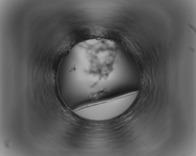 X0000091650466200708231014