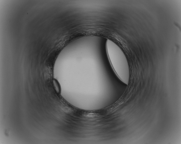 X0000091650467200708231014