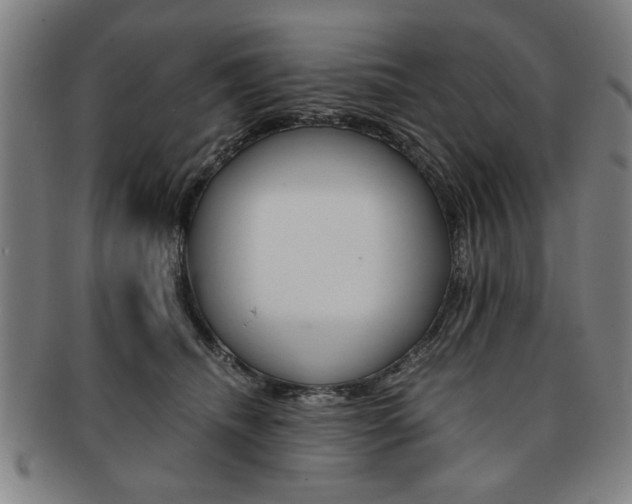 X0000091650468200708231014