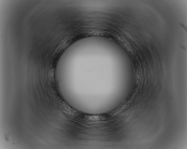 X0000091650473200708231014