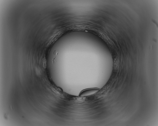 X0000091650474200708231014
