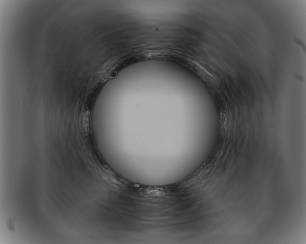 X0000091650475200708231014
