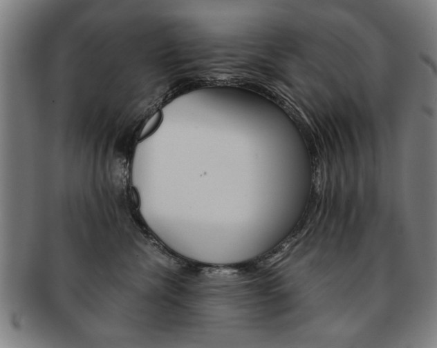 X0000091650476200708231014