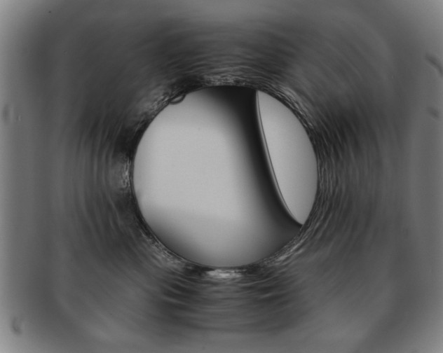 X0000091650477200708231014