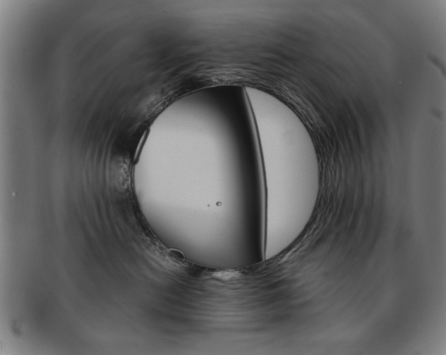 X0000091650478200708231014