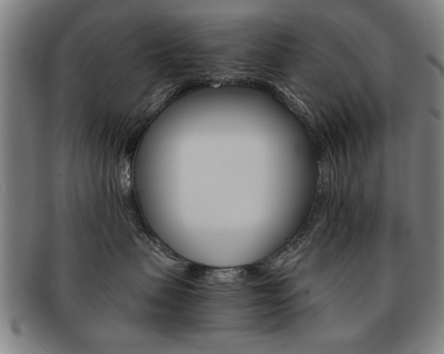 X0000091650479200708231014