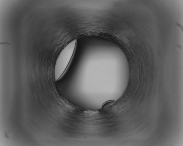X0000091650480200708231014