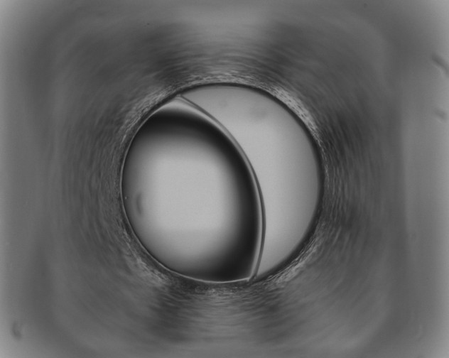 X0000091650481200708231013