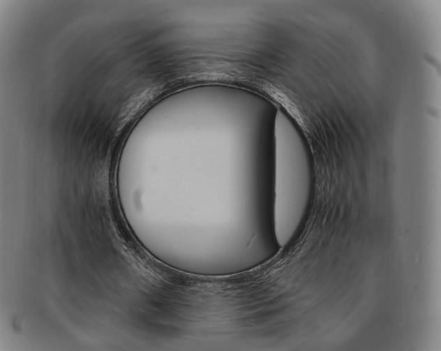 X0000091650482200708231013