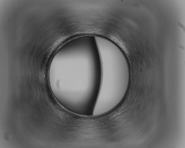 X0000091650483200708231013