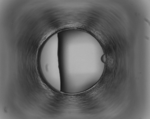 X0000091650486200708231013