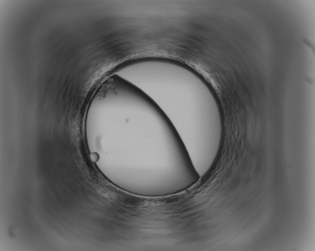 X0000091650487200708231013