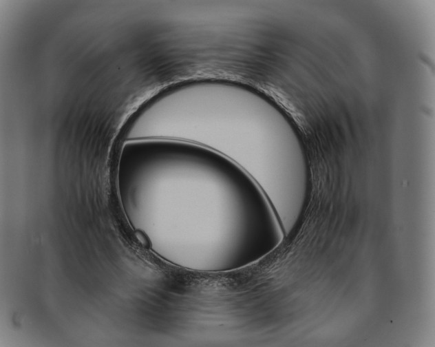 X0000091650488200708231013