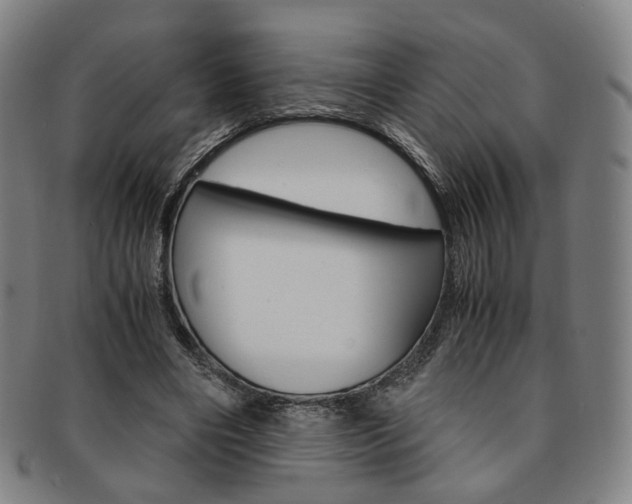 X0000091650490200708231013