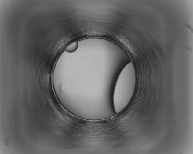 X0000091650491200708231013