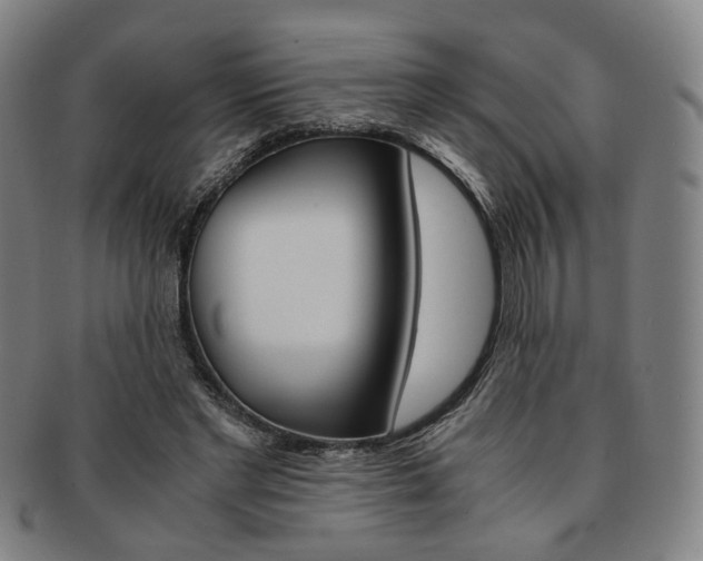 X0000091650493200708231013