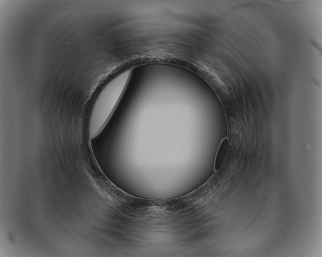 X0000091650496200708231013