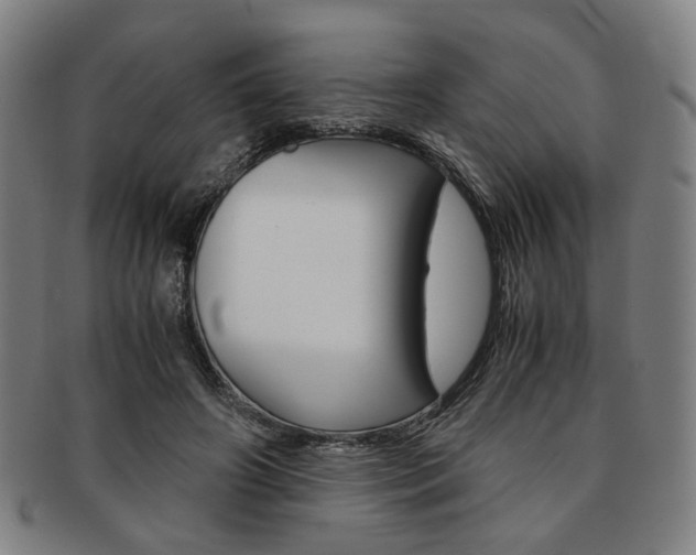 X0000091650498200708231013