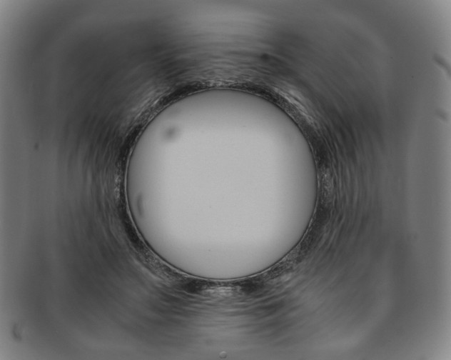 X0000091650499200708231013