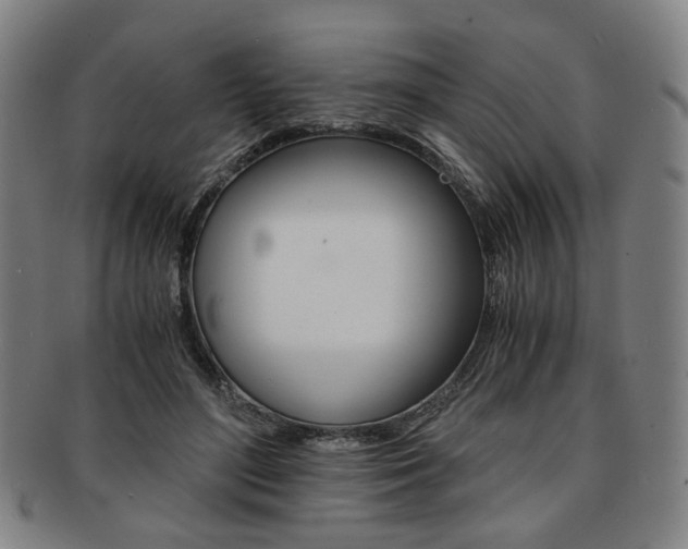 X0000091650500200708231013