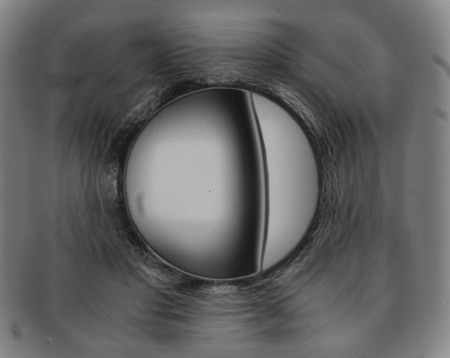 X0000091650501200708231013